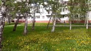 Наша природа