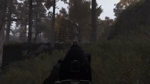 Феномен S.T.A.L.K.E.R. Anomaly. Лучший сталкер