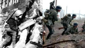 Как советские войска сражались за Сталинград?