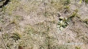 хорошо порыбачили,на жарёху поймали!