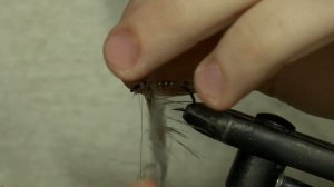 March Brown (вариант)