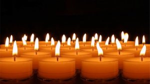 855640-hd_1920_1080_25fps