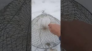 раколовка чернильница, с закрытым верхом#чернильница#раколовка#ловракавеснойчернильницей#