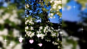 🌺 ЛЮТИКИ, СИРЕНЬ, ЯБЛОНИ 🌺 29 МАЯ 2025 г.🌺