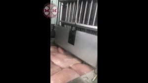 Инъектор автоматический MeatLine ML-21