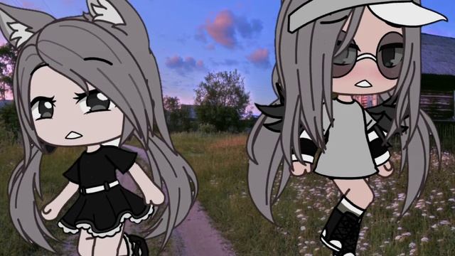 Чит. Описание