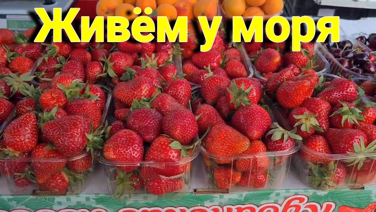 Живем у лимана. Медведка съела огурцы. Едем за рассадой. Ремонт для цыплят завершен.