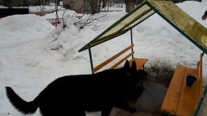 "Детсадовский полицейский"