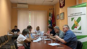 Внеочередное заседание депутатов 29.05