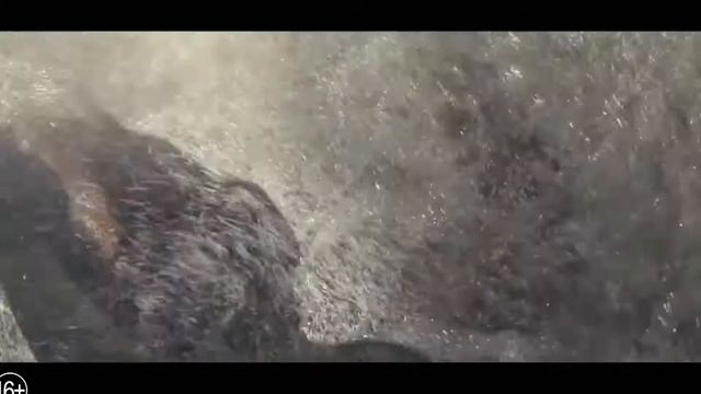 В КИНО Лара Крофт . Мини обзор фильма смотреть онлайн