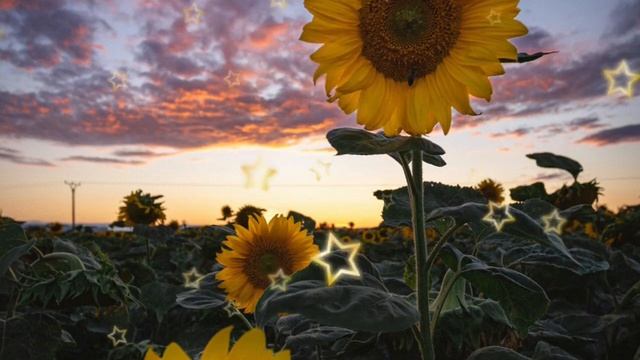 «ШВАБРУ МОЖЕШЬ НЕИСКАТЬ, Я ЕЕ ВЫБРОСИЛ, МОЙ РУКАМИ! - МУ смотреть онлайн