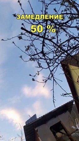 Никогда так не делай! Дачный опрыскиватель