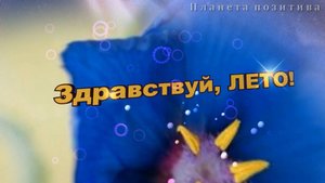 Здравствуй, лето!