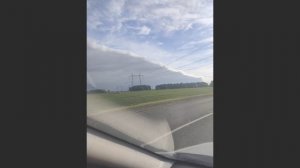 облака белогривые лошадки 🙂🙂🙂