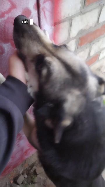 самоклеющиеся обои - обман смотреть онлайн