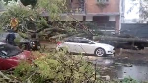 Последствия шквалистого ветра в Аргентине