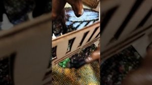 Кино шляйх  ,, Рождённый в горах ,,