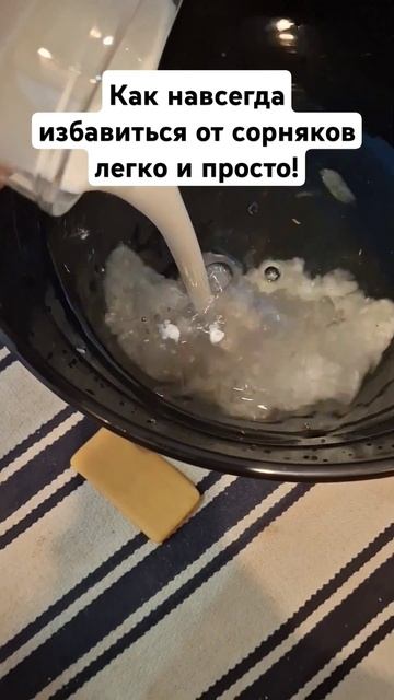 Как навсегда избавиться от сорняков легко и просто! #с? смотреть онлайн