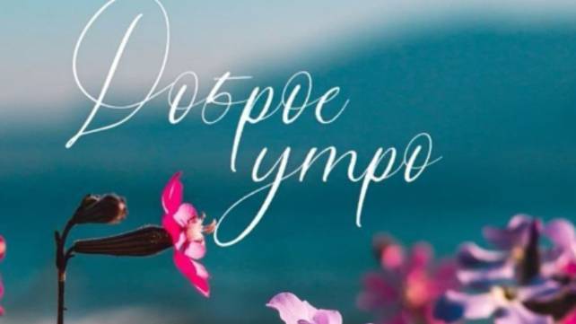 Доброе утро -  Пусть утро будет добрым и замечательным ☕ #открыткисдобрымутром