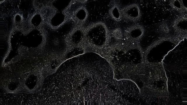 люди смотрят