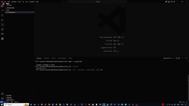 установка TypeScript в терминале IDE VSCode