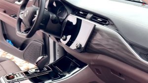 Клуб Oting Paladin: год в России - отзывы владельцев!