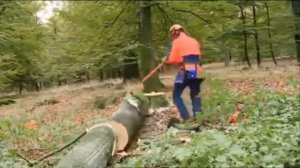 Как правильно работать бензопилой  Часть 2