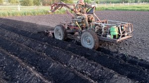 СМТ Скорпион в работе. Нарезка борозд под посадку картофеля самодельным окучником.