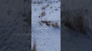 Харьковское направление. Видео солдата рф. Украинский