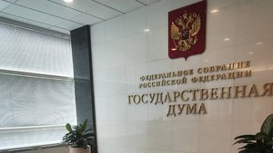 государственная дума