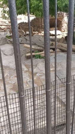 11 часть