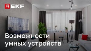 Обзор возможностей умных устройств бренда EKF
