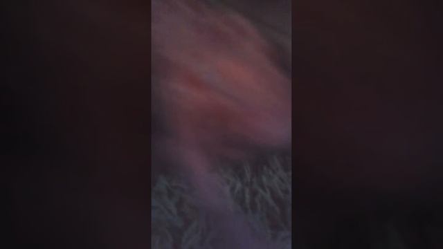 как сделать подушку для мягких игрушек💐 смотреть онлайн