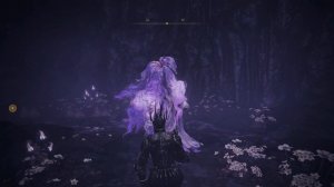 Нектар Святой Трины и Тиолье, гайд - Elden Ring: Shadow of the Erdtree