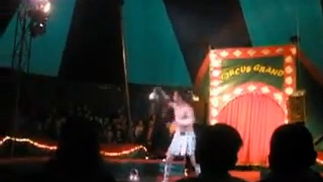 Цирк-2. Заставна 2010