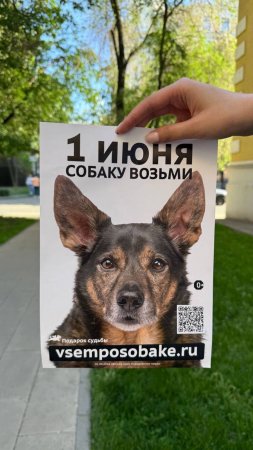 📢Барни едет на выставку 🐶