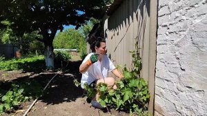 ЧТО СЛУЧИЛОСЬ С НАШИМ АБРИКОСИКОМ😱