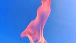 3769241-hd_1920_1080_30fps