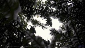 Идеальный саундтрек для вашего самого романтичного вечера! - Shot -- The Hipshakes -- Live at WFMU o