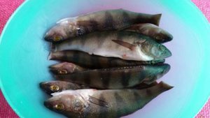 Ароматное жаренное филе окуня