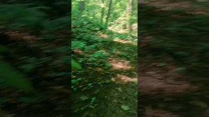 Велопутешествие по самарской луке 
День второй .ледяная пещера , серные штольни , и гора верблюд.