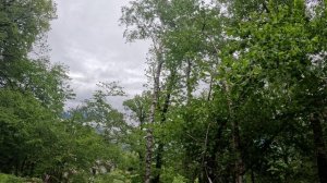 Gorduno --- In Scarevuro AR