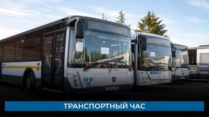 Транспортный час