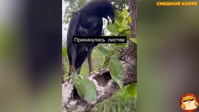 Я РЖАЛ ДО СЛЕЗ 😂 18 Минут ОТБОРНЫХ Русских приколов 2024