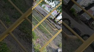 ЖЕСТЬ ! ПЬЮТ И МУСОРЯТ НА ДЕТСКИХ ПЛОЩАДКАХ !🤦👺 #барнаул #тимартдан