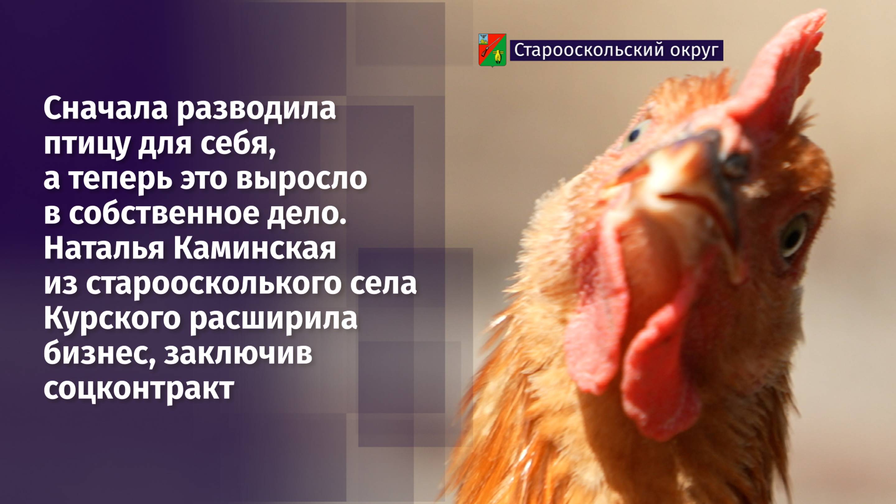 Сначала разводила птицу для себя, а теперь это выросло в собственное дело