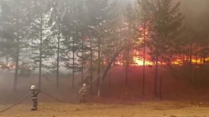 В Бурятии огнем охвачено 114 гектаров леса