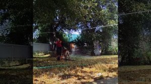 Для понимания. Для чего нужна воздуходувка. Охрана вещ