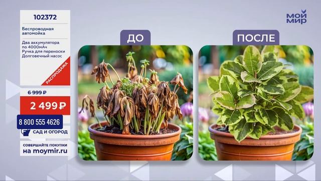 Прямая трансляция пользователя Мой Мир смотреть онлайн