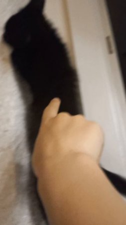 1000013874.mp4